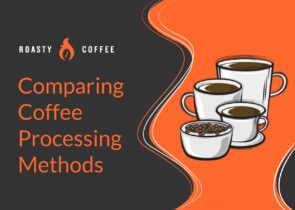 比较咖啡处理法