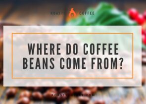 咖啡豆从何而来