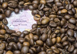 喀麦隆咖啡