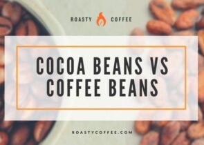 可可豆对咖啡豆