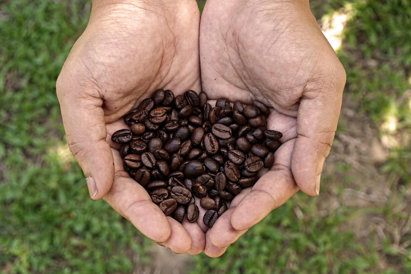 哥斯达黎加咖啡机