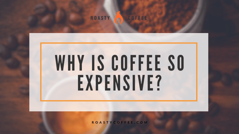 咖啡为什么这么贵